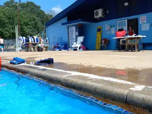 Pool at Veterans Park