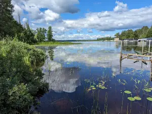 Sturgeon River