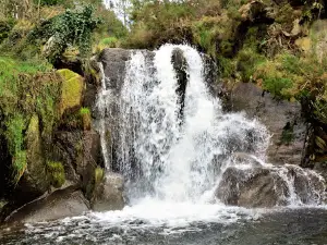 Fervenza de Budián