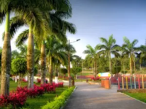 Juventud y la Familia Park