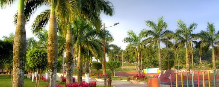 Juventud y la Familia Park