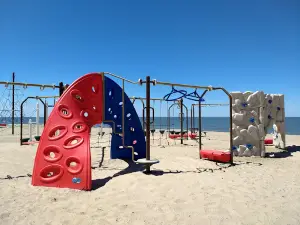 Lions Park