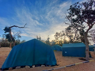 Camping Douz