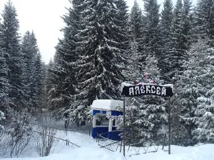 Родник "АЛЕКСЕЙ "