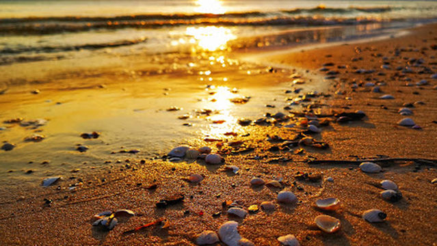 Smiltynės bendras paplūdimys