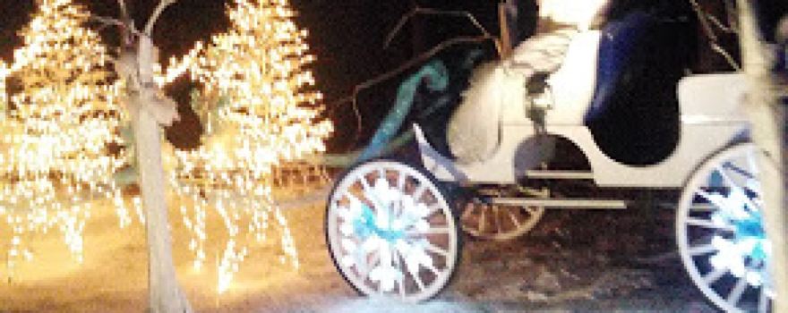Liberty Co Recreation Department
