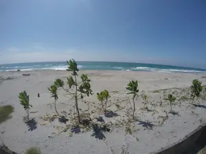Jerus Beach Resorts And Campsite