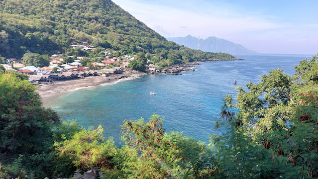 Traditional Whale Hunt of Lamalera