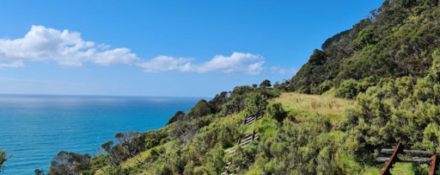 Beach Loop Picnic Area