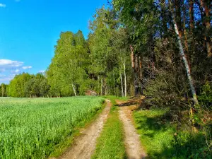Załęczański Landscape Park