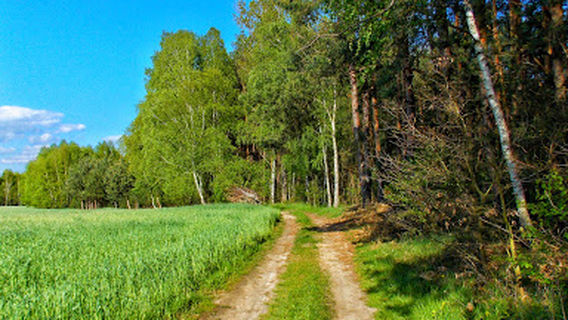 Załęczański Landscape Park