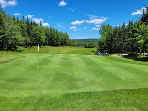 The Hollows Golf Club
