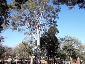 Plaza Libertad