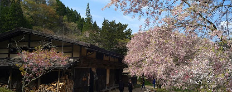 Tateba Tea House (Ichikoku Tochitate Chaya)