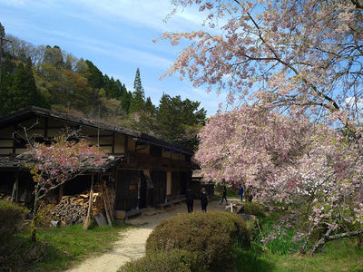 Ichikokutochi Tateba Chaya