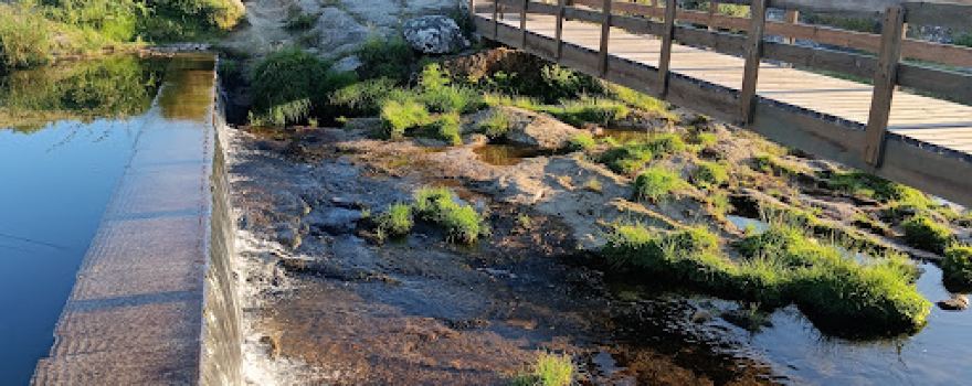 Albergaria da Serra River Park