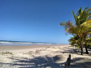 Beach MAMOA