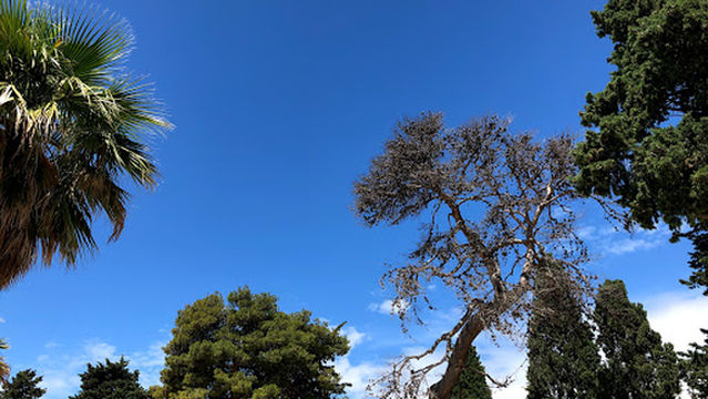 Children’s Playground Zvončac