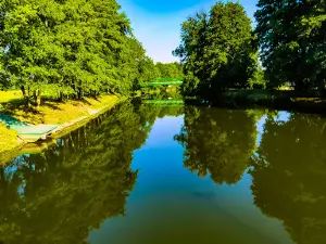 Natural swimming Litovel