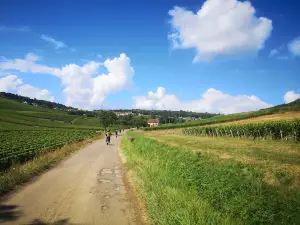 Les Brèles Balades