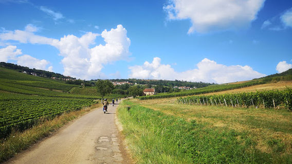 Les Brèles Balades
