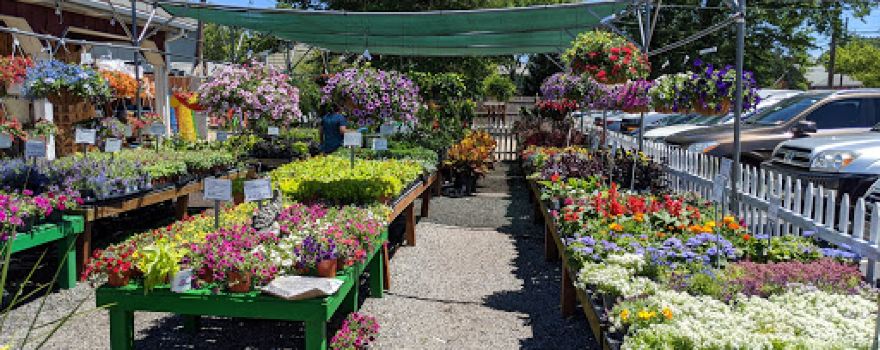 Coppola's Garden Center