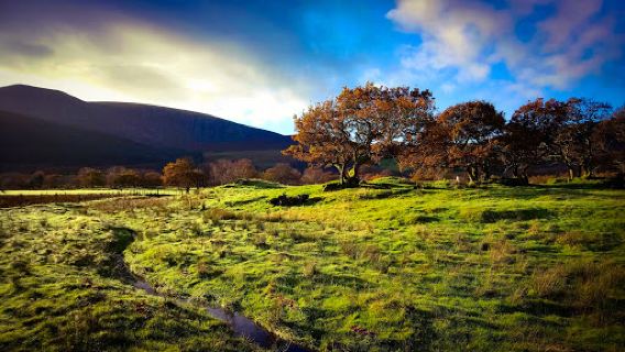 Bryn Gloch Caravan & Camping Park