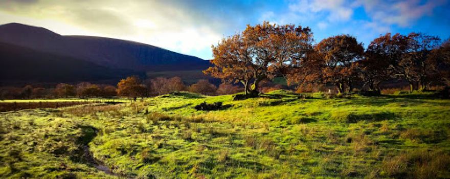 Bryn Gloch Caravan & Camping Park