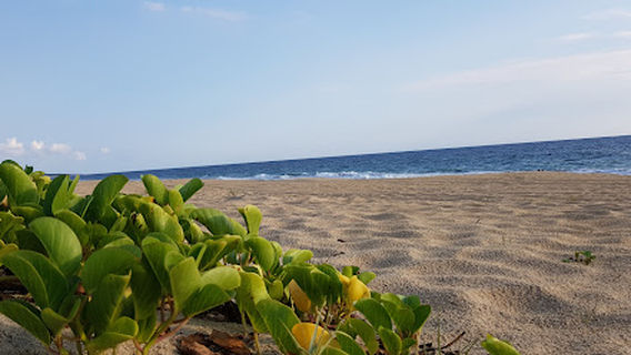 Pasajuego de Pelota Mixteca Bajos de Chila