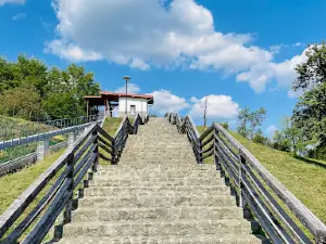 Kastell Buciumi