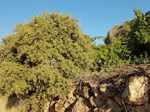 Çocuk Parkı