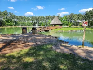 Dellinger Park