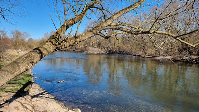 Wieblinger Neckar meadow, garden No. 15
