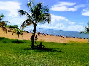 Child Square