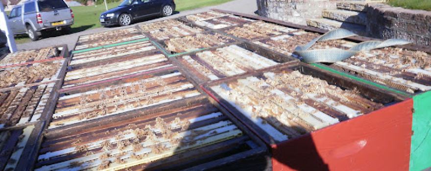 Struan Apiaries Ltd