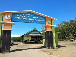 Hutan Mangrove Tongke-tongke