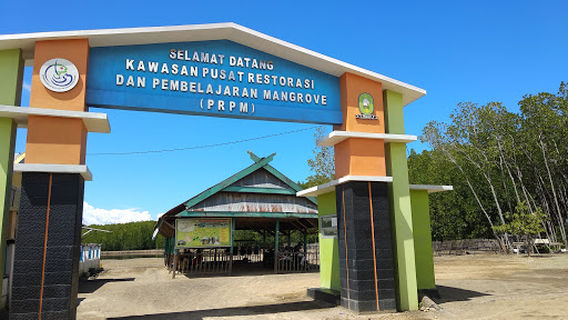 Hutan Mangrove Tongke-tongke