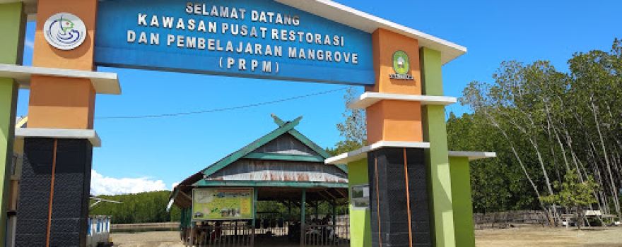 Hutan Mangrove Tongke-tongke