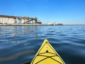 Sea North Tours Ltd
