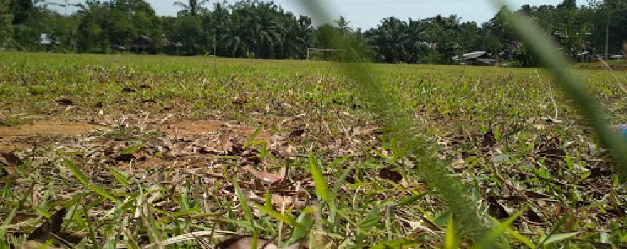 Lapangan Sepak Bola Desa Selagan Jaya
