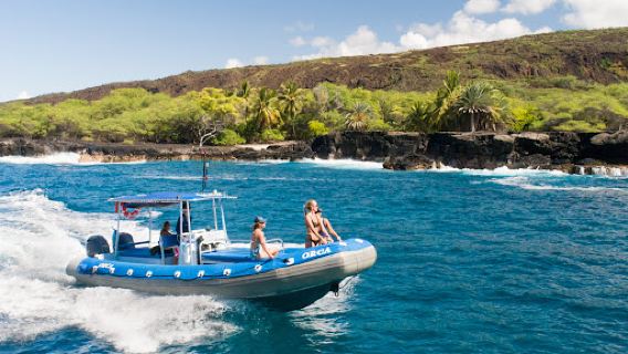 Kona Snorkel Trips