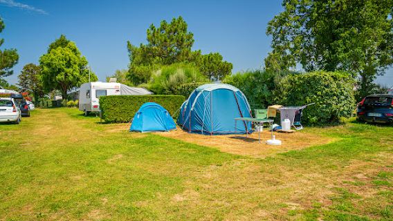 Camping SARL Birds