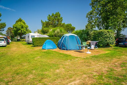 Camping SARL Birds