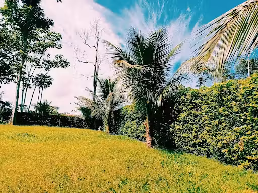 Vuelos ${{cityDName}} Tulcán