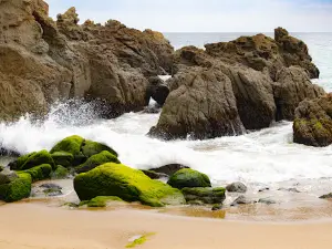Sycamore Cove Beach