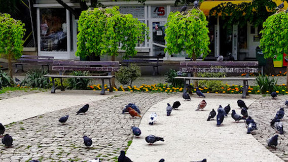 Parcul Orășenesc