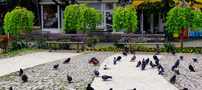 Parcul Orășenesc