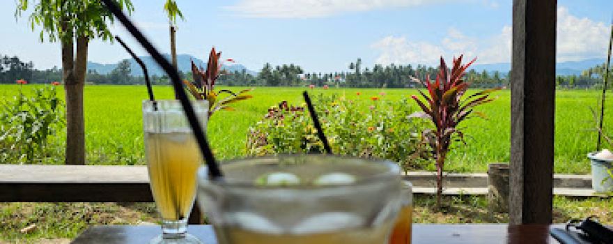 Wisata garung kayu bado