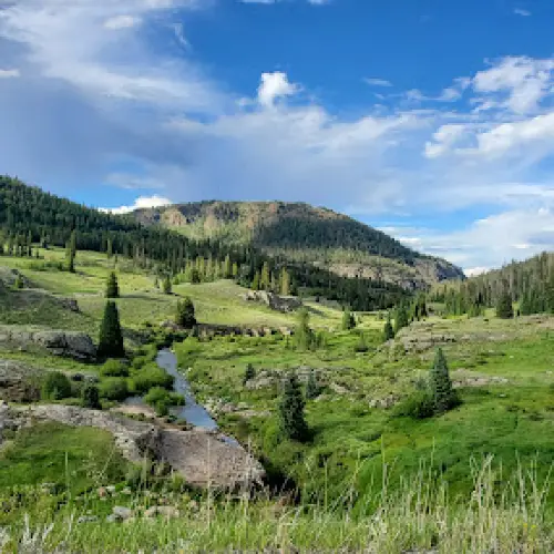 Big Meadows Campground And Picnic Area