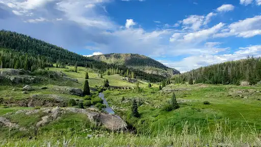 Big Meadows Campground And Picnic Area